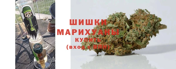 крисы Козельск