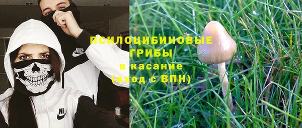 крисы Киренск