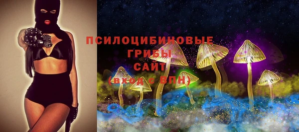 крисы Киренск
