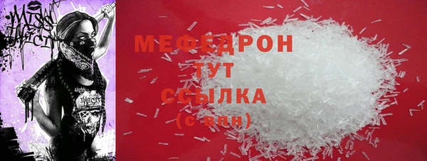 крисы Козельск
