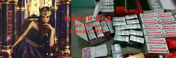 крисы Козельск
