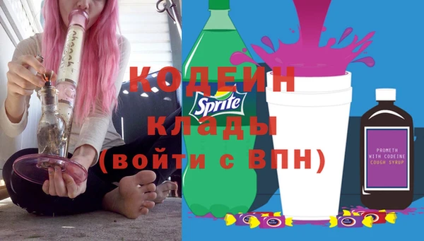 крисы Козельск